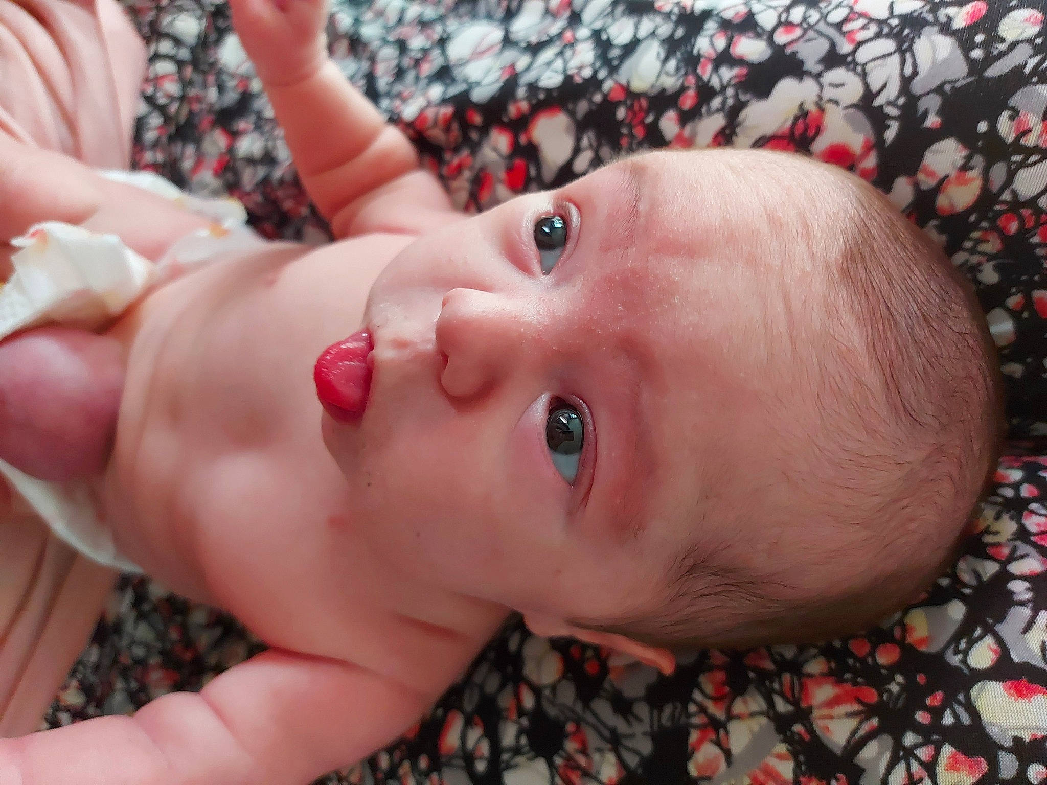 Kira participe au concours pour gagner de l'argent avec cette photo : baby, cheek, child, eye, face, finger, hand, head, lip, mouth, muscle, neck, nose, person, skin