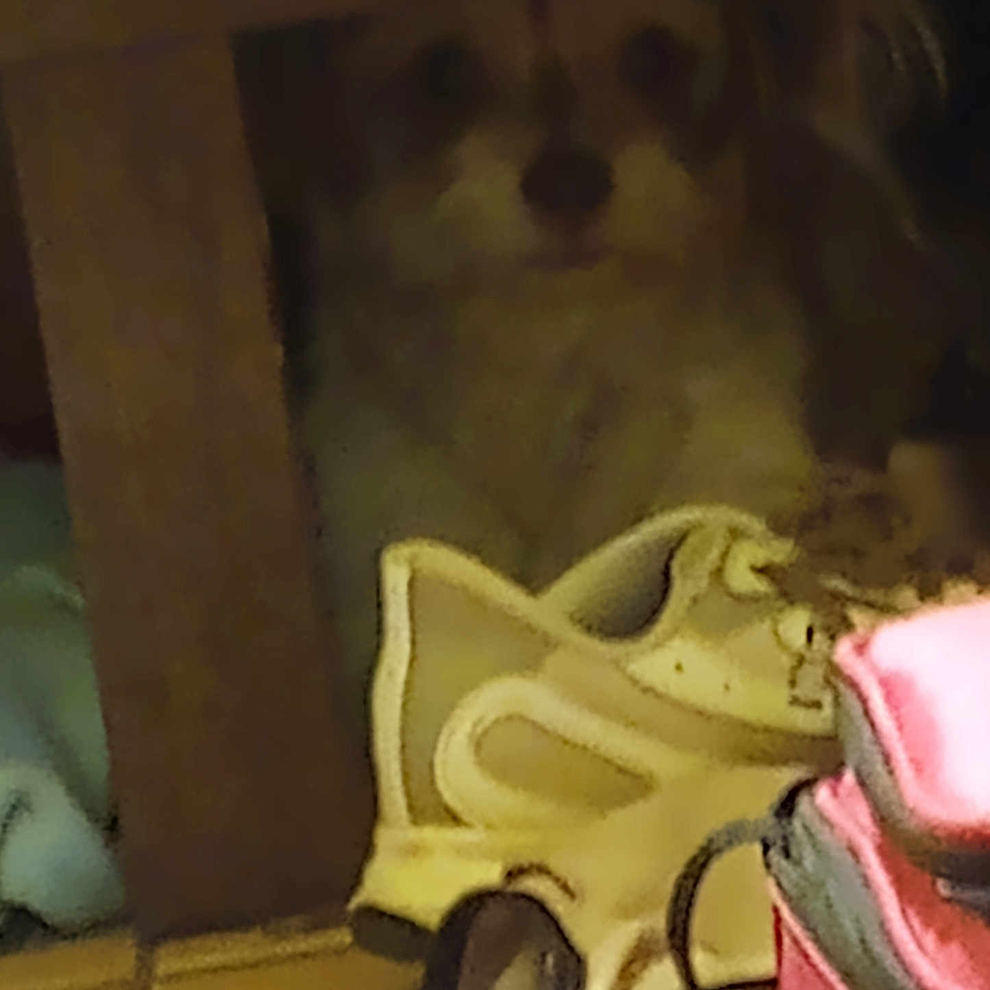 Posie