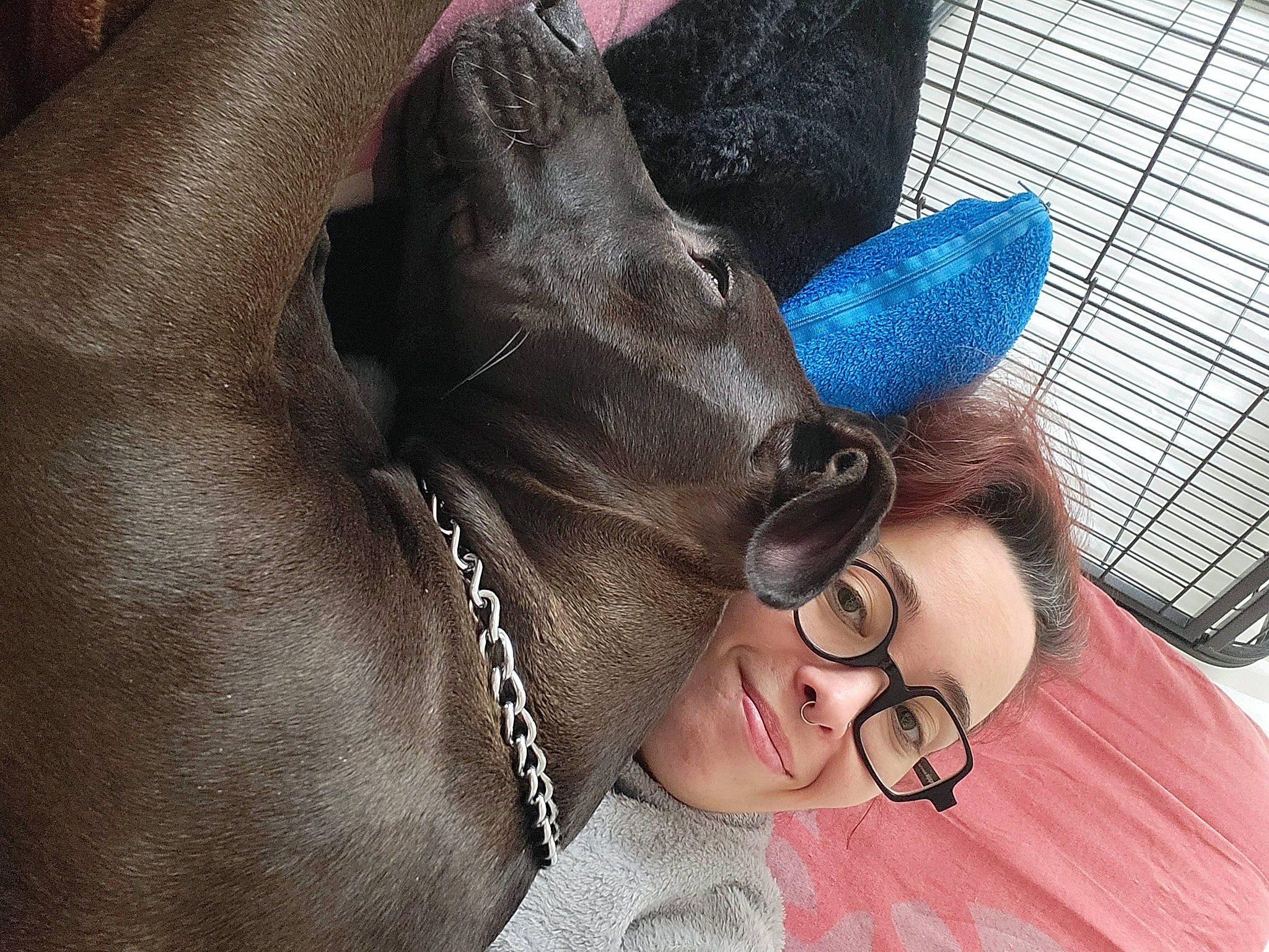 Stella participe au concours pour gagner de l'argent avec cette photo : audio_equipment, black_hair, costume, electric_blue, eyewear, fashion_accessory, fun, fur, gesture, glasses, happy, human_leg, jewellery, leisure, magenta, selfie, sunglasses, textile, vision_care, whiskers