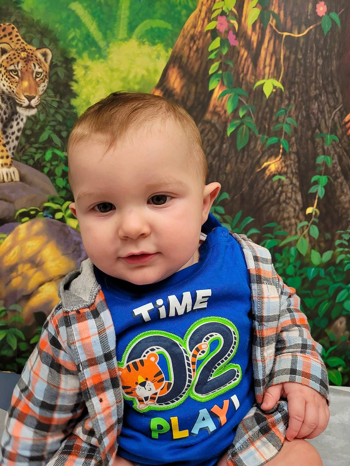 Damien is registered to the contest to win money with this photo: adaptation, baby, baby_toddler_clothing, carnivore, child, eye, grass, green, happy, head, iris, leaf, leisure, mammal, organ, outerwear, people_in_nature, person, plant, toddler