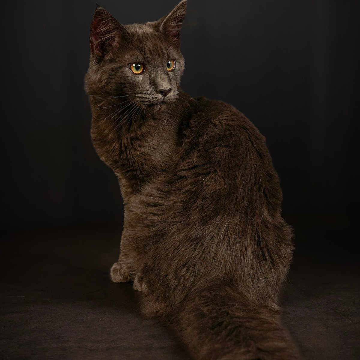 Eros