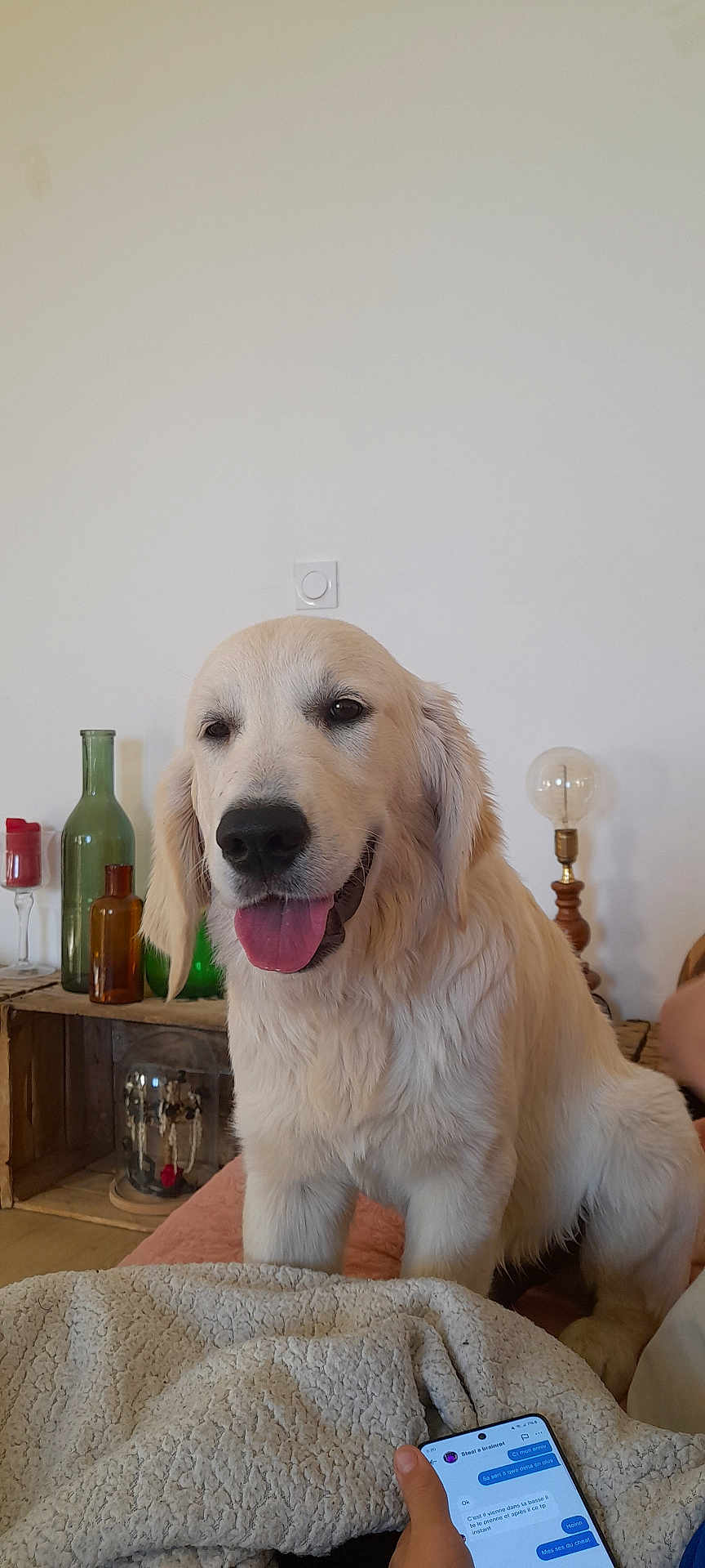 Marcel