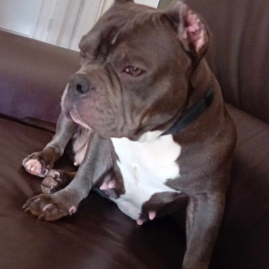 Coco