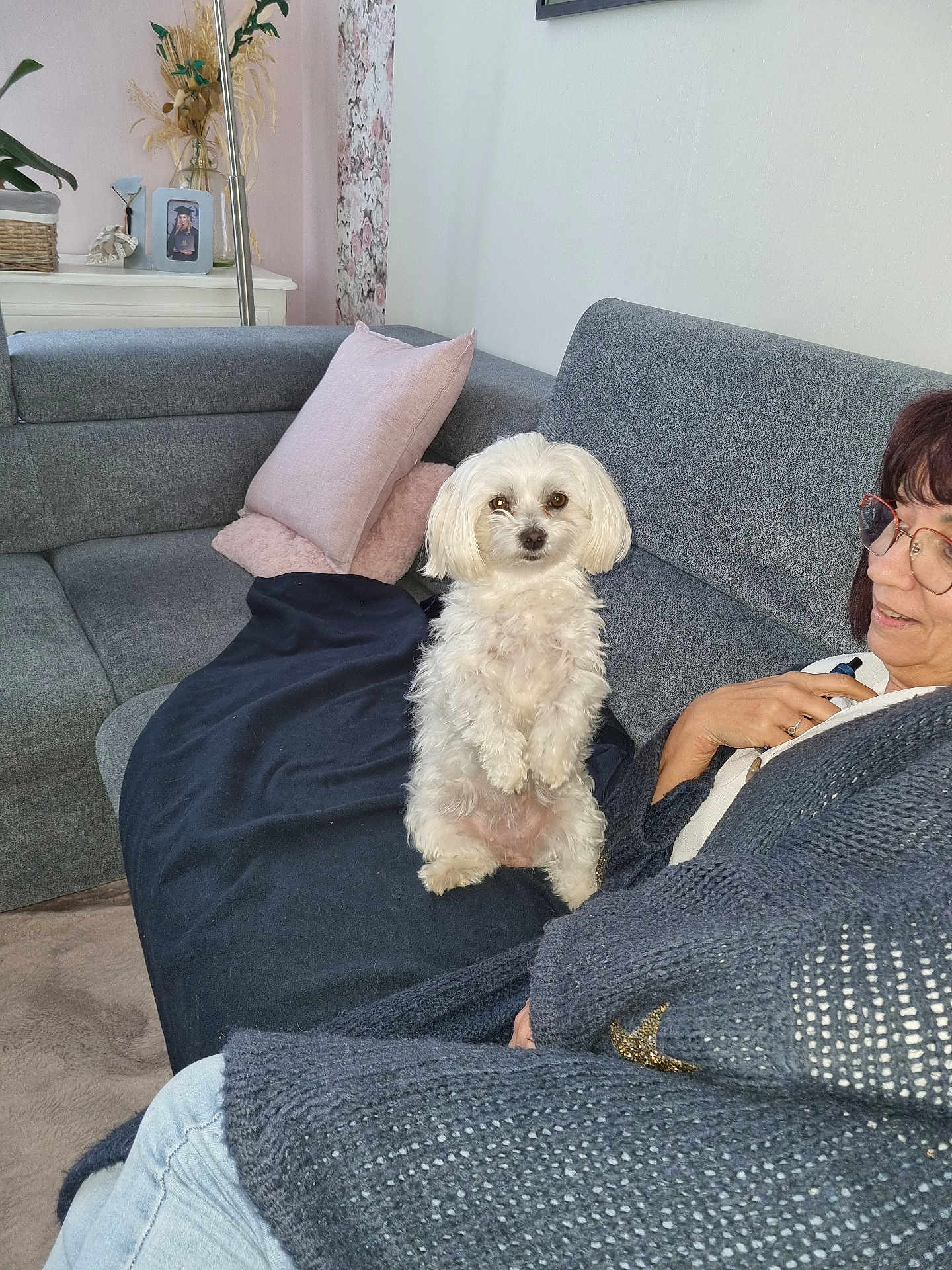 Tia a rejoint le concours — aidez-le/la à gagner de superbes lots ! dog, white_dog, couch, woman, glasses, knitted_sweater, pillow, blanket, living_room, fluffy, indoor, pet, seated, cozy, casual, home_decor, floor, carpet, portrait, relaxed