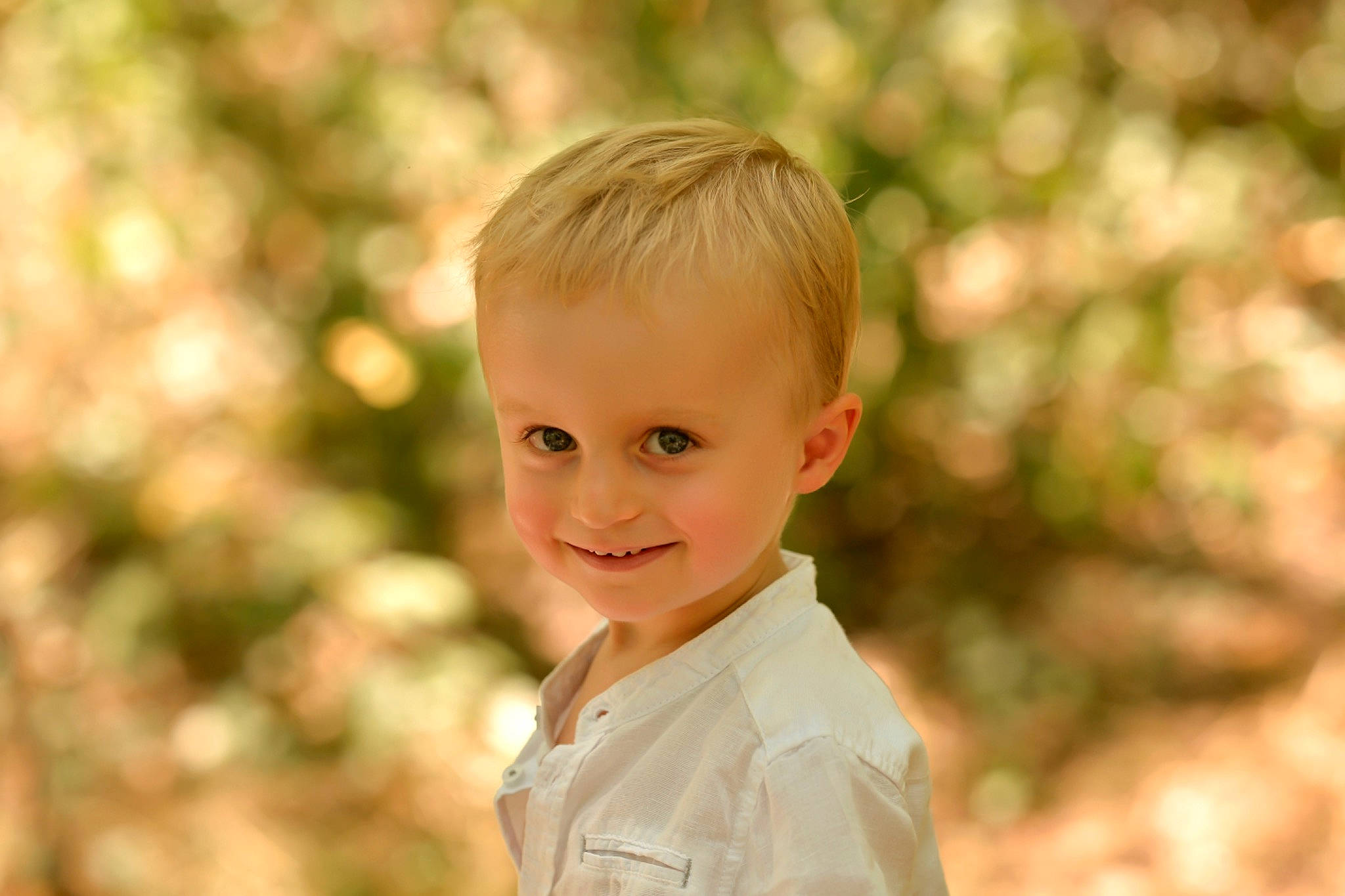 Alban participe au concours pour gagner de l'argent avec cette photo : blond, child, eye, flash_photography, fun, grass, happy, head, joy, laugh, leisure, natural_landscape, people_in_nature, person, plant, portrait, portrait_photography, sitting, smile, toddler