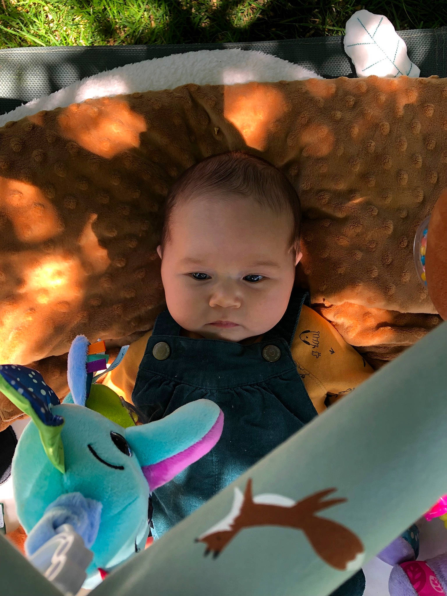 Capucine participe au concours pour gagner de l'argent avec cette photo : baby, baby_products, baby_toddler_clothing, child, event, fun, grass, green, happy, head, iris, leaf, leisure, light, lighting, person, sitting, snapshot, toddler, toy