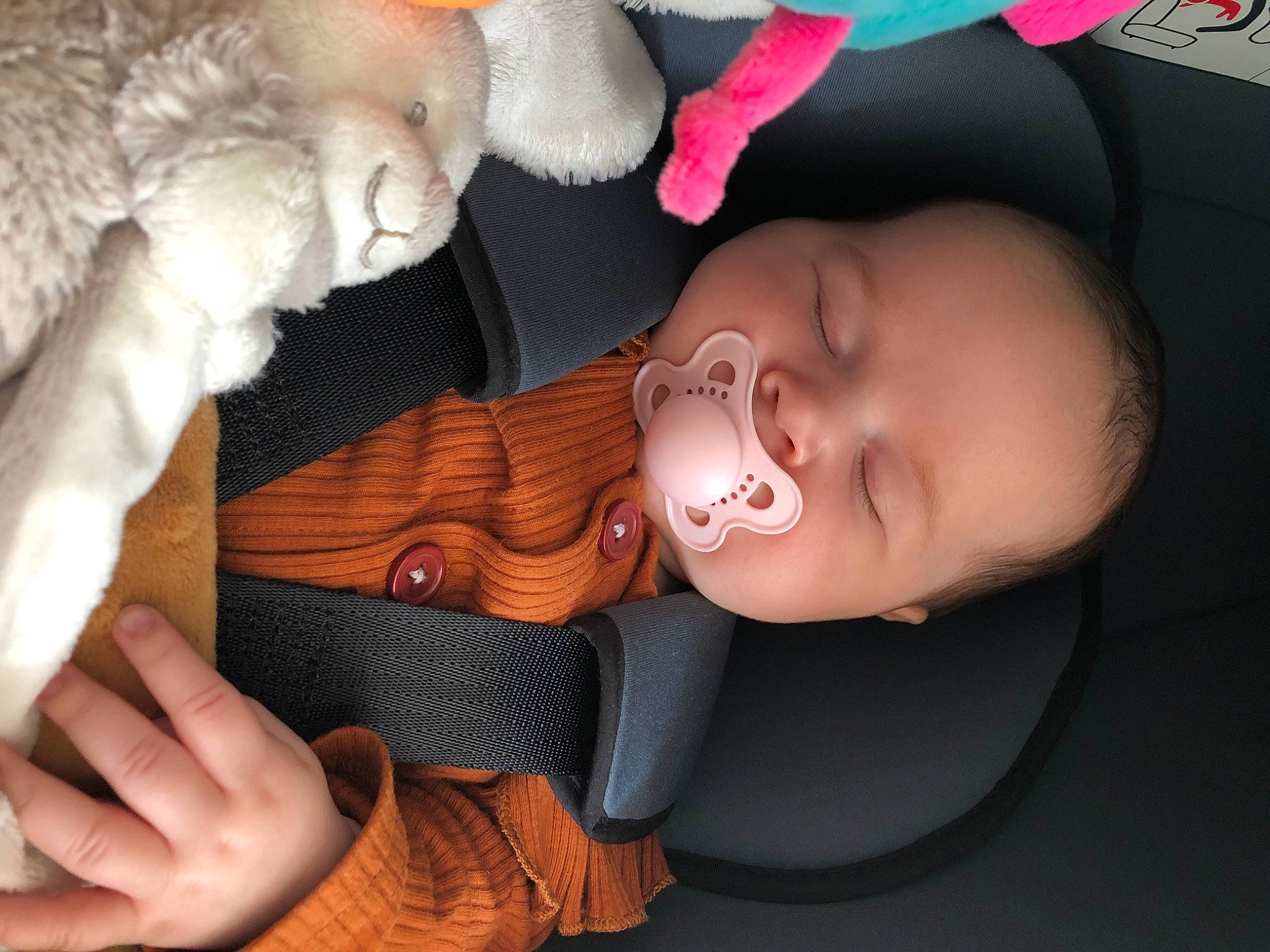 Capucine a rejoint le concours — aidez-le/la à gagner de superbes lots ! baby, cheek, ear, eye, eyebrow, eyelash, finger, gesture, hairstyle, hand, head, headgear, human_body, lip, mouth, nose, person, product, skin, smile