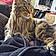 Smokey