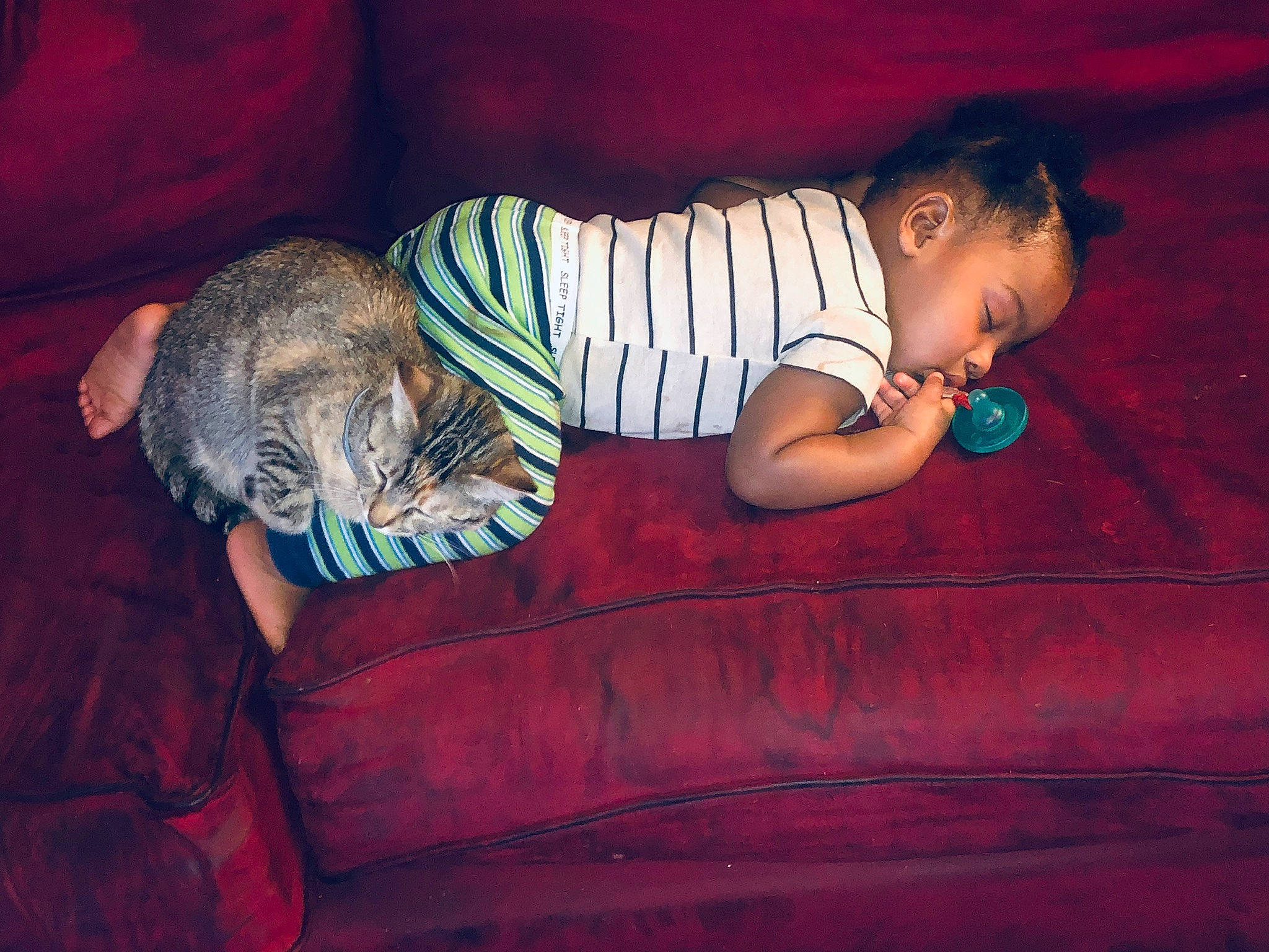 Amir is registered to the contest to win money with this photo: baby, baby_toddler_clothing, carnivore, cat, child, comfort, couch, darkness, dress, felidae, flash_photography, glasses, happy, hat, human_leg, linens, pattern, person, small_to_medium_sized_cats, textile