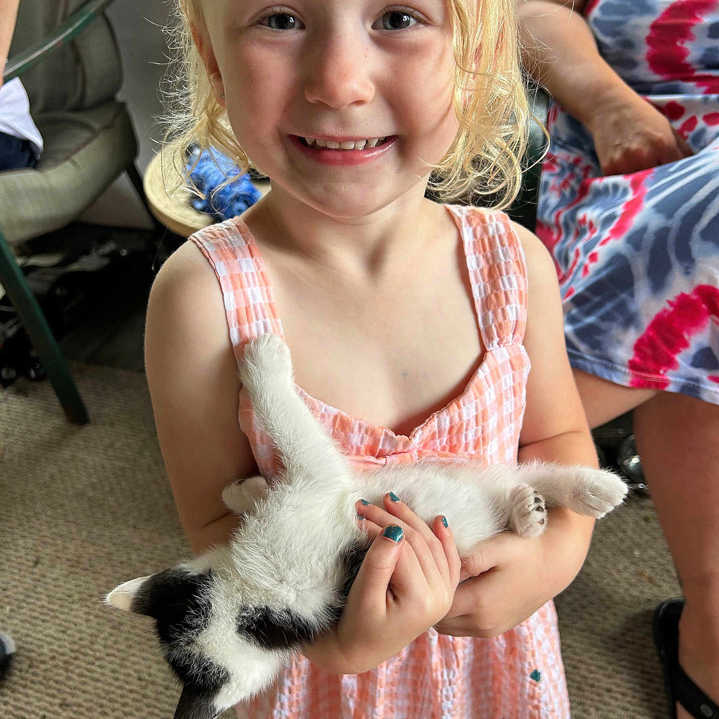 Raelynn Mcmenamin joined the competition — help win amazing prizes! animal, cat, child, clothing, couch, dress, face, female, footwear, furniture, girl, happy, head, kitten, person, pet, photography, portrait, sandal, smile