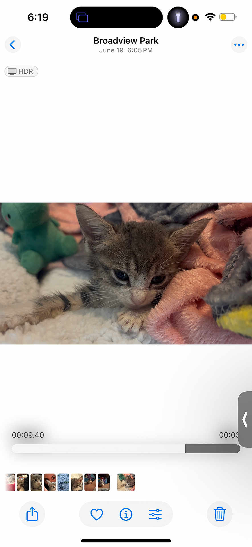 Kitty is registered to the contest to win money with this photo: kitten, cat, animal, pet, cute, fluffy, blanket, plush_toy, sleepy, cozy, soft, fur, indoor, resting, young, small, cute_animal, domestic_cat, whiskers, ears