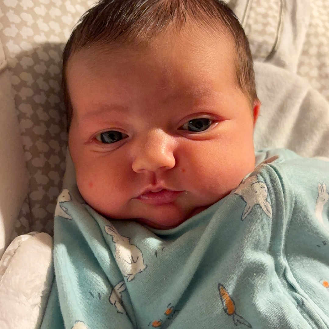 Aurora joined the competition — help win amazing prizes! animal, architecture, baby, bed, blanket, building, couch, cushion, face, furniture, head, homedecor, hospital, insect, invertebrate, newborn, person, photography, portrait, quilt