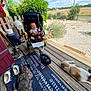 Leo participe au concours pour gagner de l'argent avec cette photo : baby, bucket, clouds, dog, fence, grass, happy, mat, nature, outdoor, pet, plants, porch, rural, shoes, sky, smiling, stroller, sunlight, wooden_floor