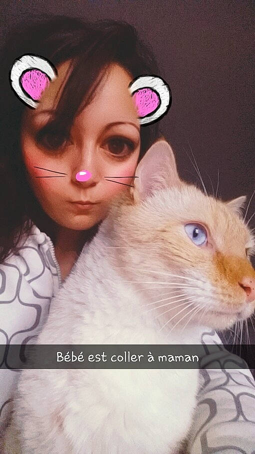 Neige participe au concours pour gagner de l'argent avec cette photo : asian, carnivore, cartoon, cat, ear, felidae, gesture, illustration, kitten, nose, person, photo_caption, photography, selfie, small_to_medium_sized_cats, whiskers