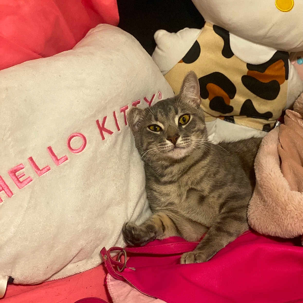 Karl