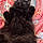 Salem