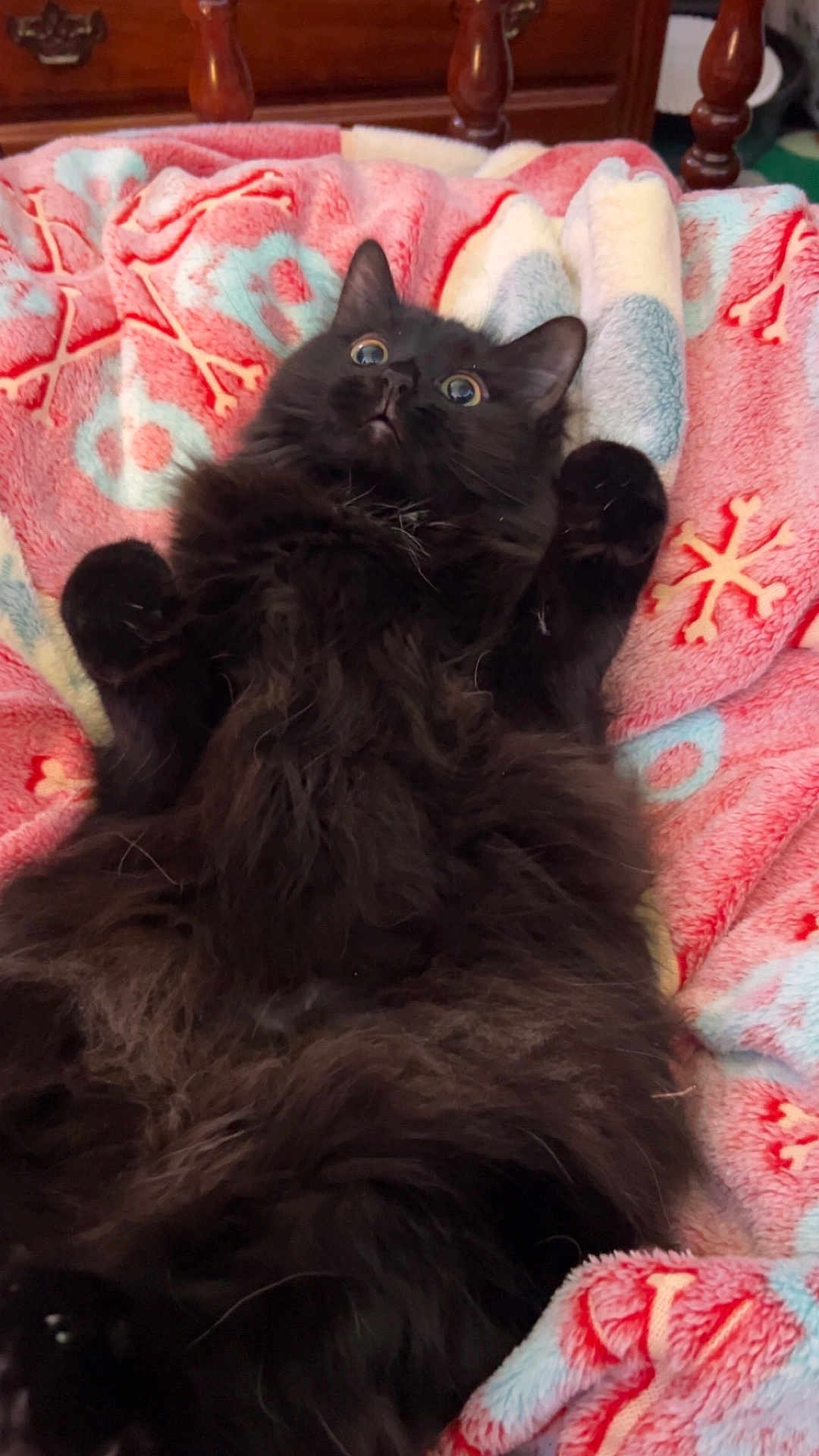 Salem