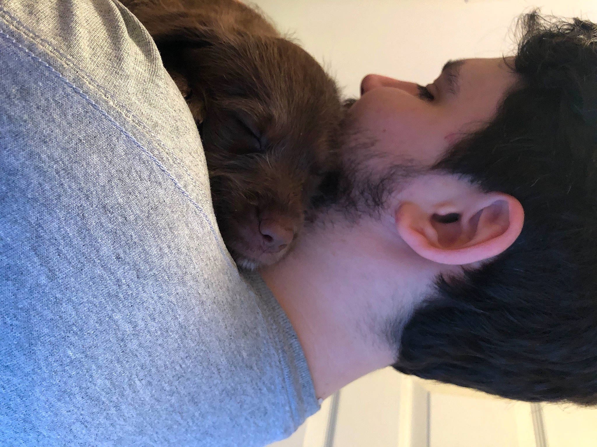 Heart joined the competition — help win amazing prizes! ear, eye, face, head, mouth, neck, nose, organ, snout