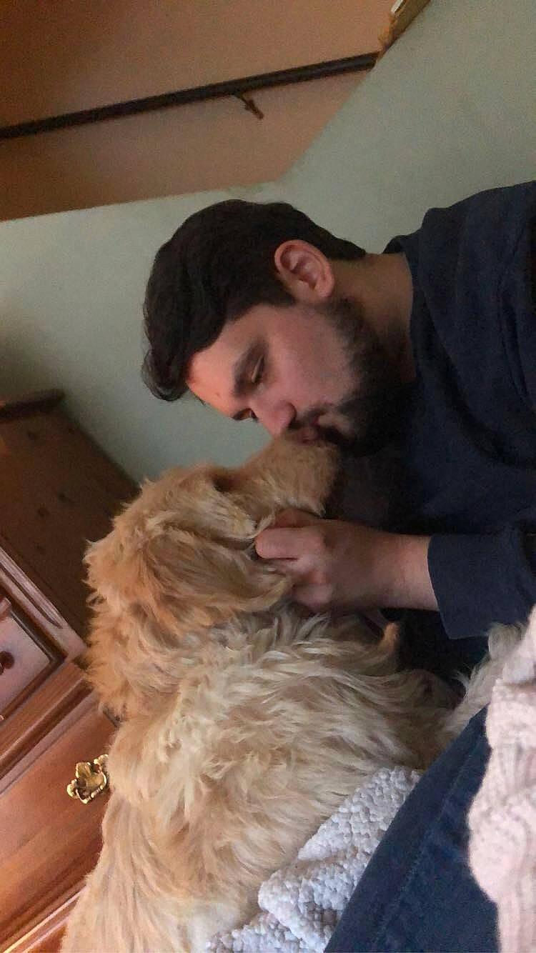 Lucy is registered to the contest to win money with this photo: american_cocker_spaniel, canidae, carnivore, cockapoo, dog, dog_breed, ear, english_cocker_spaniel, fur, hair, labradoodle, long_hair, puppy_love, schnoodle, sporting_group