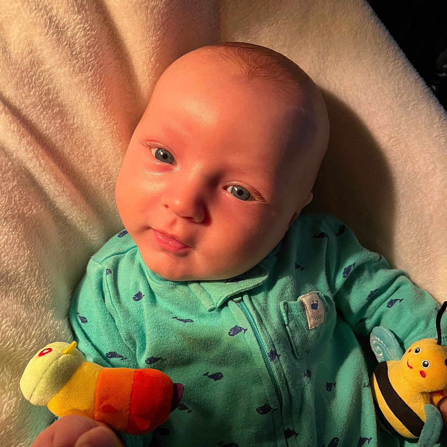 Stellan is registered to the contest to win money with this photo: animal_toy, baby, bee_toy, blanket, blue_eyes, caterpillar_toy, child, closeup, cozy, cute, fabric, holding, indoor, infant, onesie, plush_toy, portrait, smiling, soft_lighting, young_child