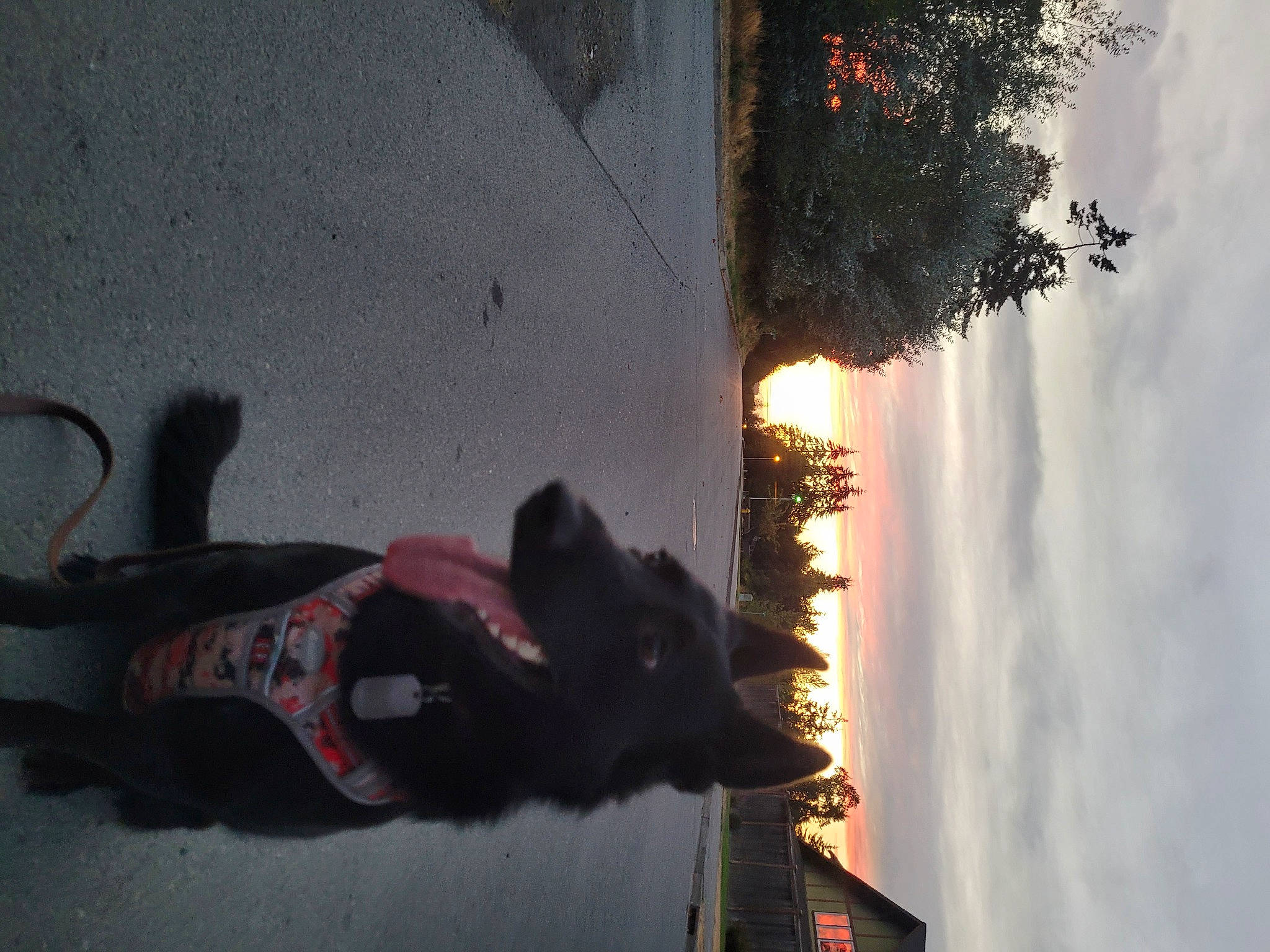 Margo joined the competition — help win amazing prizes! art, asphalt, carmine, cloud, darkness, evening, gas, heat, human_leg, line, plant, reflection, road_surface, shadow, sky, tints_and_shades, tree, visual_arts, water, window