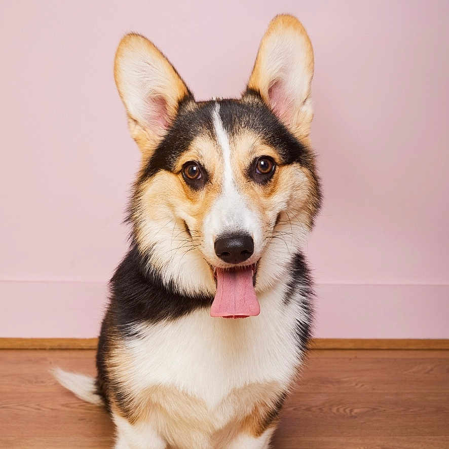 Simone