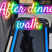 Luna joined the competition — help win amazing prizes! cat, black_cat, treadmill, indoor, carpet, furniture, pet, animal, walking, exercise, technology, floor, home, whiskers, tail, shadow, domestic, cute, caption, colorful_text