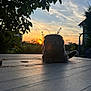 Silver a rejoint le concours — aidez-le/la à gagner de superbes lots ! animal, backlight, calm, cat, clouds, evening, feline, garden, house, landscape, nature, outdoor, pet, relaxing, shadow, silhouette, sky, sunset, table, tree