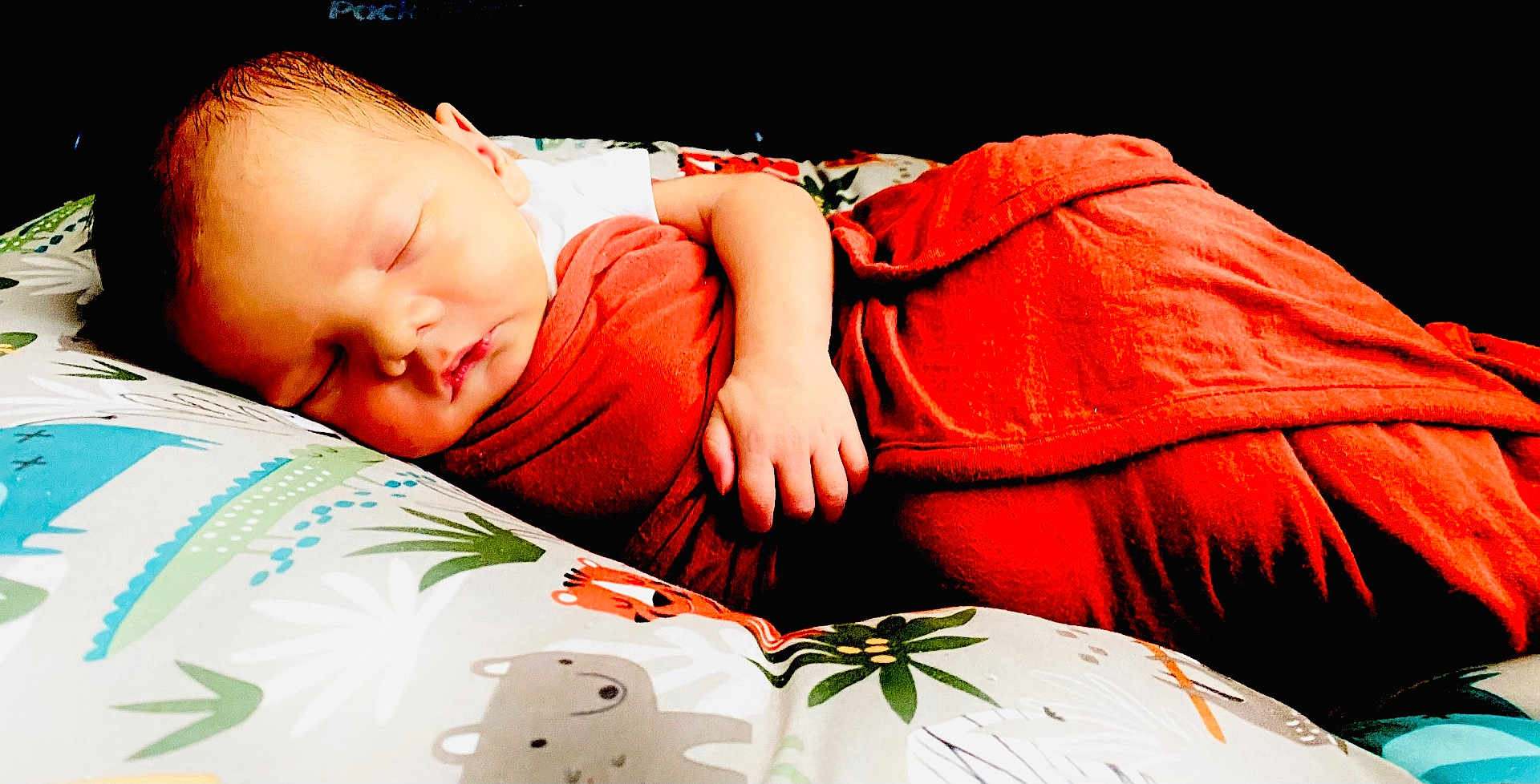 Bentley joined the competition — help win amazing prizes! baby, newborn, sleeping, blanket, red_blanket, cushion, animal_print, hand, face, peaceful, resting, infant, soft, comfort, indoors, cute, portrait, child, cozy, nap