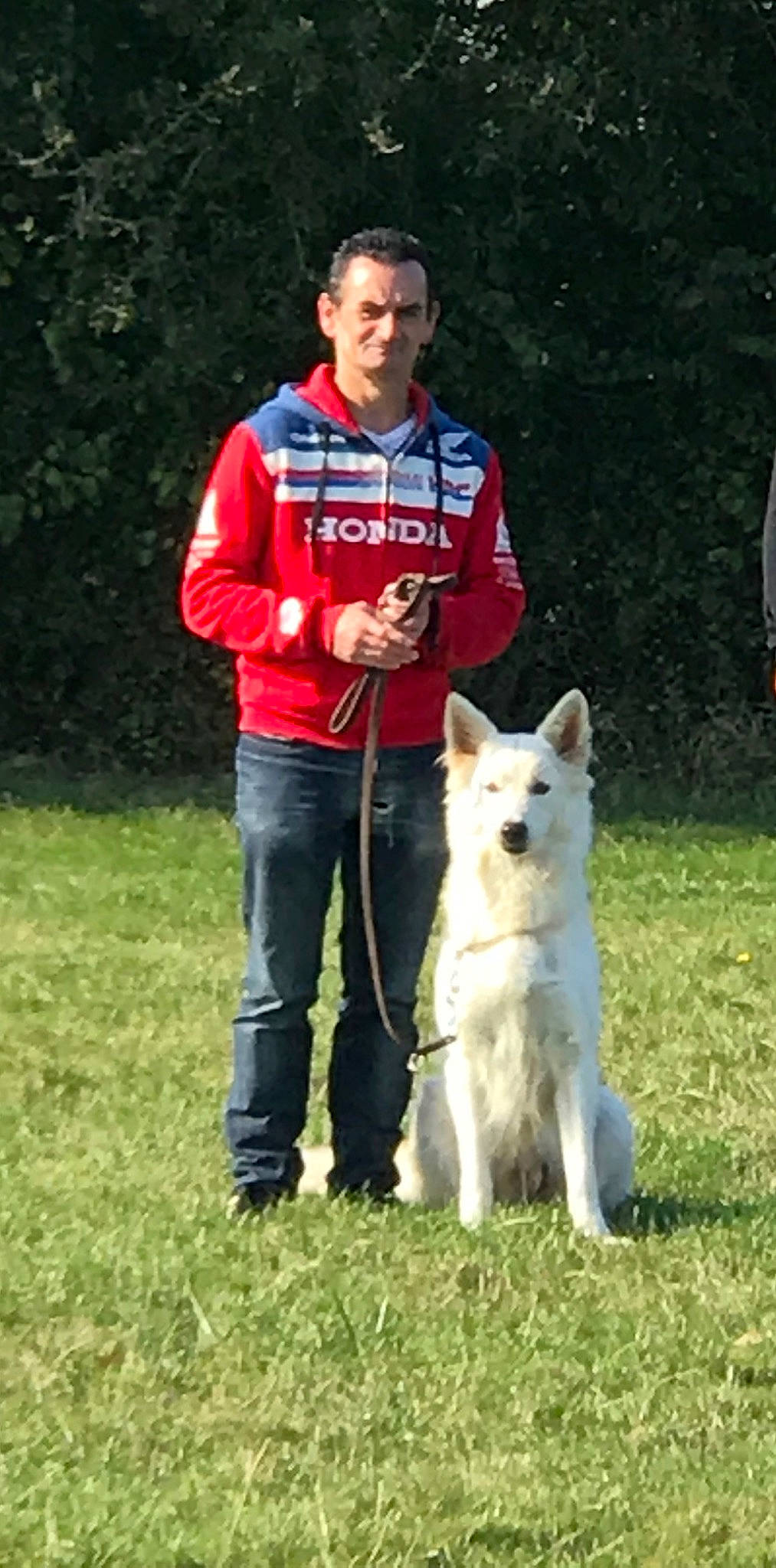 Loula participe au concours pour gagner de l'argent avec cette photo : berger_blanc_suisse, canidae, carnivore, czechoslovakian_wolfdog, dog, dog_breed, herding_dog, kintamani, kunming_wolfdog, mammal, norwegian_buhund, obedience_training, rally_obedience, tamaskan_dog, vertebrate, white_shepherd, working_dog