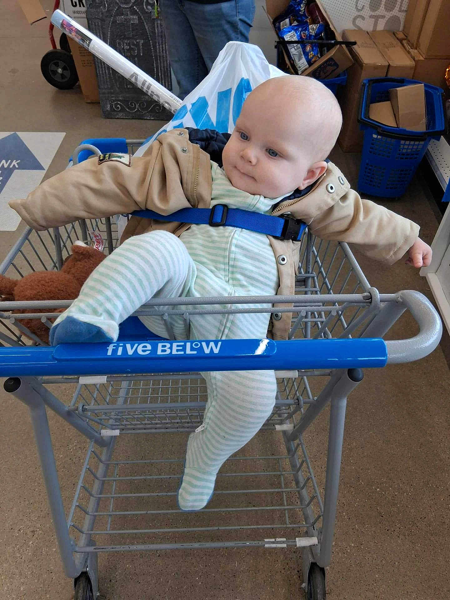 Wyatt joined the competition — help win amazing prizes! baby, shopping_cart, jacket, striped_onesie, blue_socks, store, shopping_bag, boxes, floor, curious_expression, child, indoor, retail, person, clothing, seat_belt, toy, casual, toddler, cart_handle