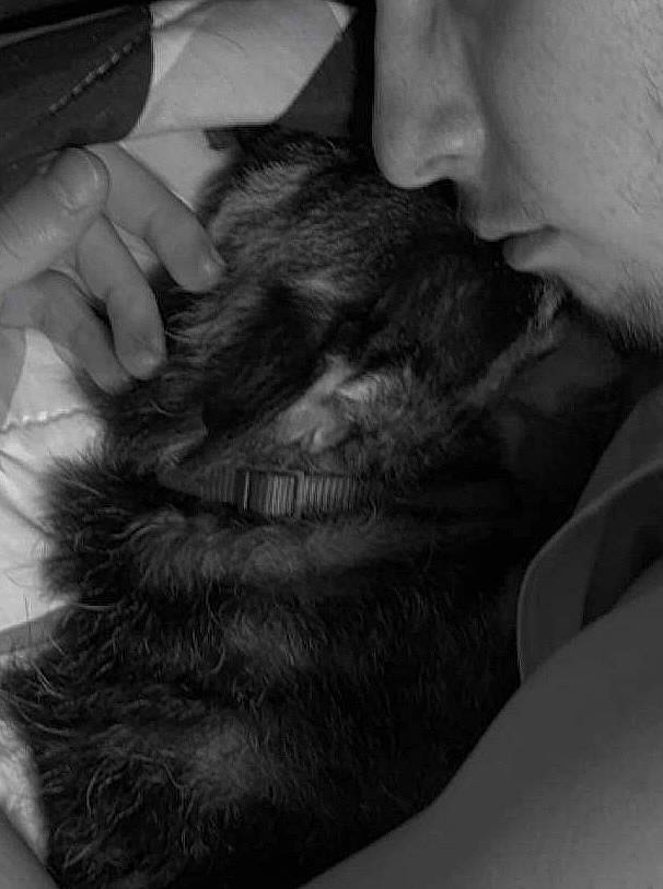 Taco joined the competition — help win amazing prizes! beard, carnivore, comfort, companion_dog, dog_breed, ear, felidae, finger, gesture, grey, jaw, monochrome, monochrome_photography, nose, small_to_medium_sized_cats, snout, sporting_group, style, whiskers, wrinkle