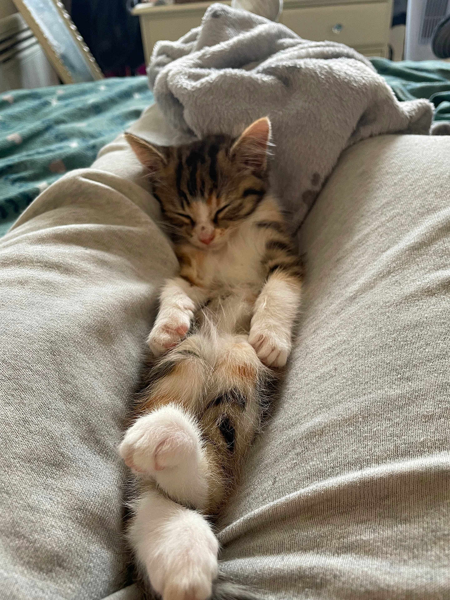 Beans