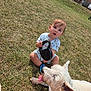 Chester is registered to the contest to win money with this photo: child, toddler, dog, grass, leash, outdoor, pet, cute, summer, sunny, animal, playful, happy, sitting, grass_field, house, fence, collar, tongue_out, casual_clothing