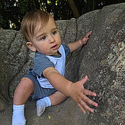 Chester is registered to the contest to win money with this photo: toddler, child, rock, outdoor, nature, curious, reaching_hand, socks, shorts, tshirt, greenery, tree, sunlight, shadow, texture, portrait, exploration, young_child, candid, playful