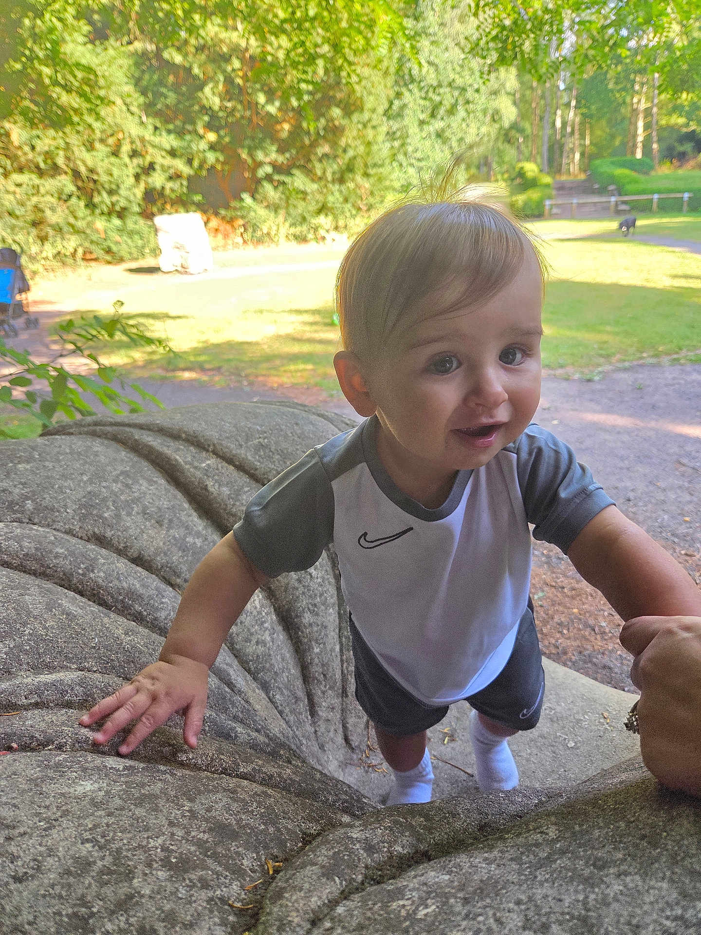 Chester joined the competition — help win amazing prizes! toddler, child, outdoor, park, stone, sculpture, hand, support, greenery, sunlight, shorts, tshirt, white_socks, person, nature, daylight, young_child, playing, exploring, casual_clothing