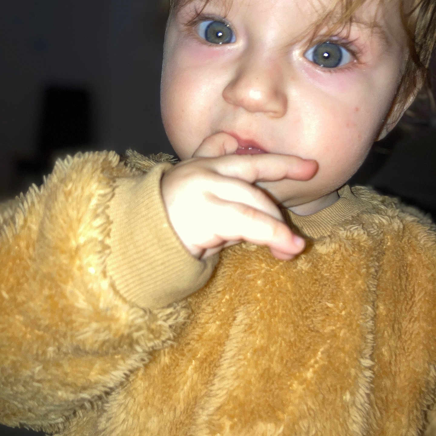 Amaris participe au concours pour gagner de l'argent avec cette photo : baby, blue_eyes, brown_outfit, child, close_up, curious, curly_hair, cute, expression, face, fingers, fuzzy_clothing, hand, indoor, person, portrait, skin, soft_texture, toddler, young_child