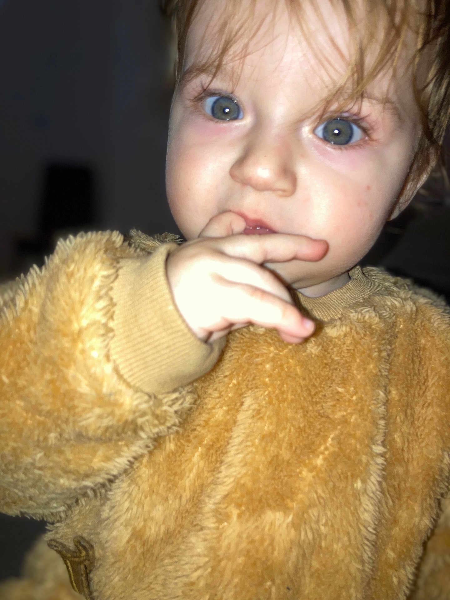 Amaris participe au concours pour gagner de l'argent avec cette photo : toddler, child, face, hand, fingers, curly_hair, blue_eyes, fuzzy_clothing, brown_outfit, portrait, close_up, indoor, cute, young_child, curious, expression, baby, person, skin, soft_texture