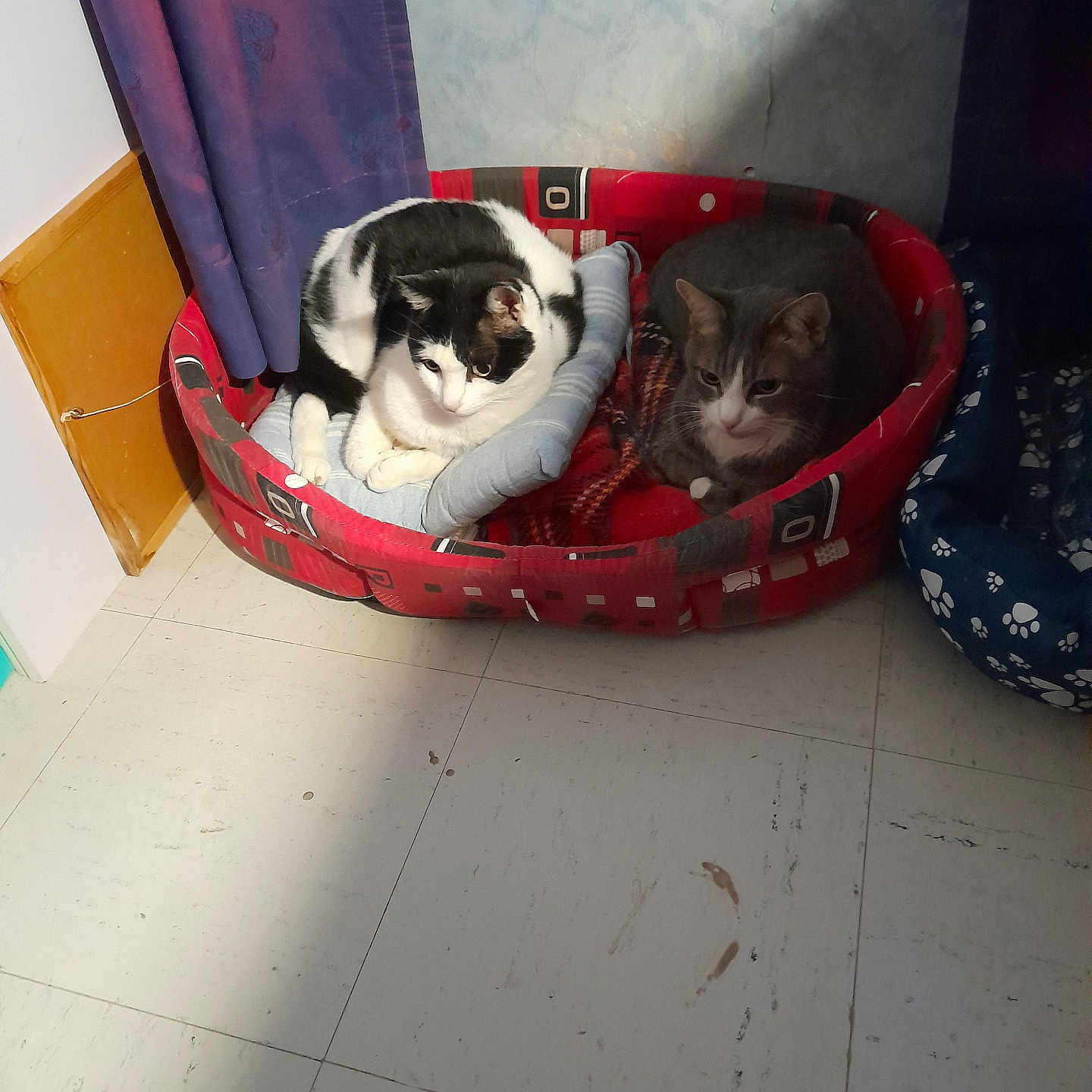 Minette Et Minou