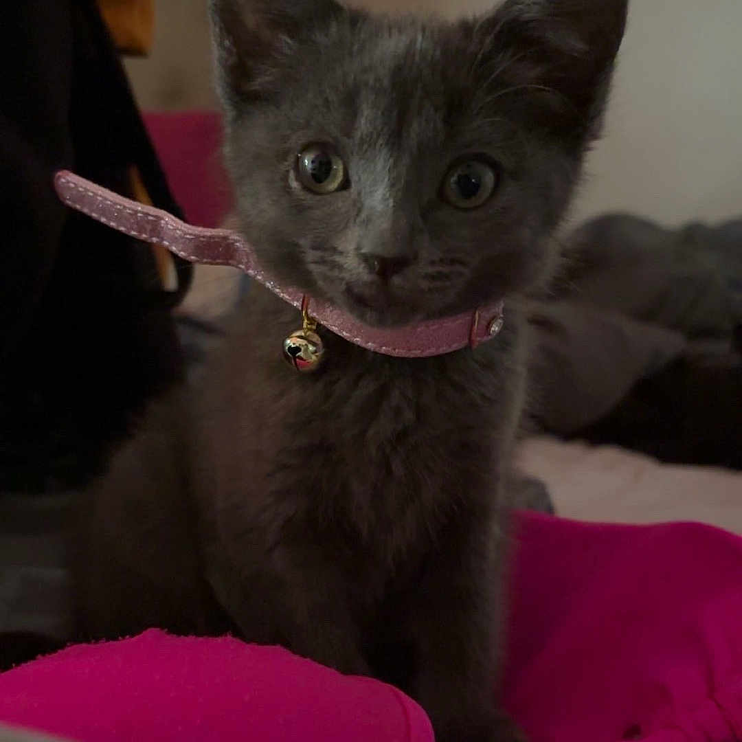 Minnie