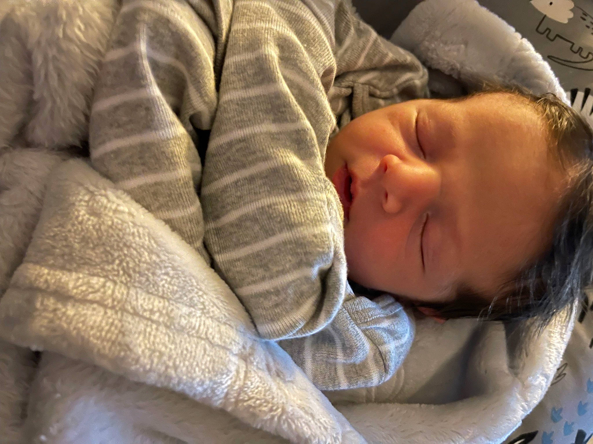 Denver is registered to the contest to win money with this photo: baby, bedtime, cheek, child, comfort, fur, grass, linens, nap, nose, person, portrait_photography, sitting, sleep, toddler