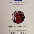 Imoconseil M. G.