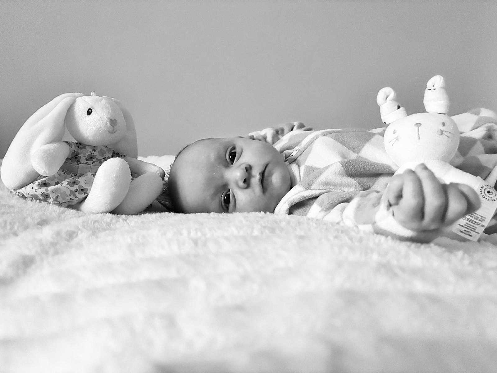 Bonnie joined the competition — help win amazing prizes! baby, plush_toy, bunny, blanket, infant, soft_toy, monochrome, portrait, child, sleepwear, cute, lying_down, peaceful, close_up, indoor, toy, face, hand, cozy, comfort