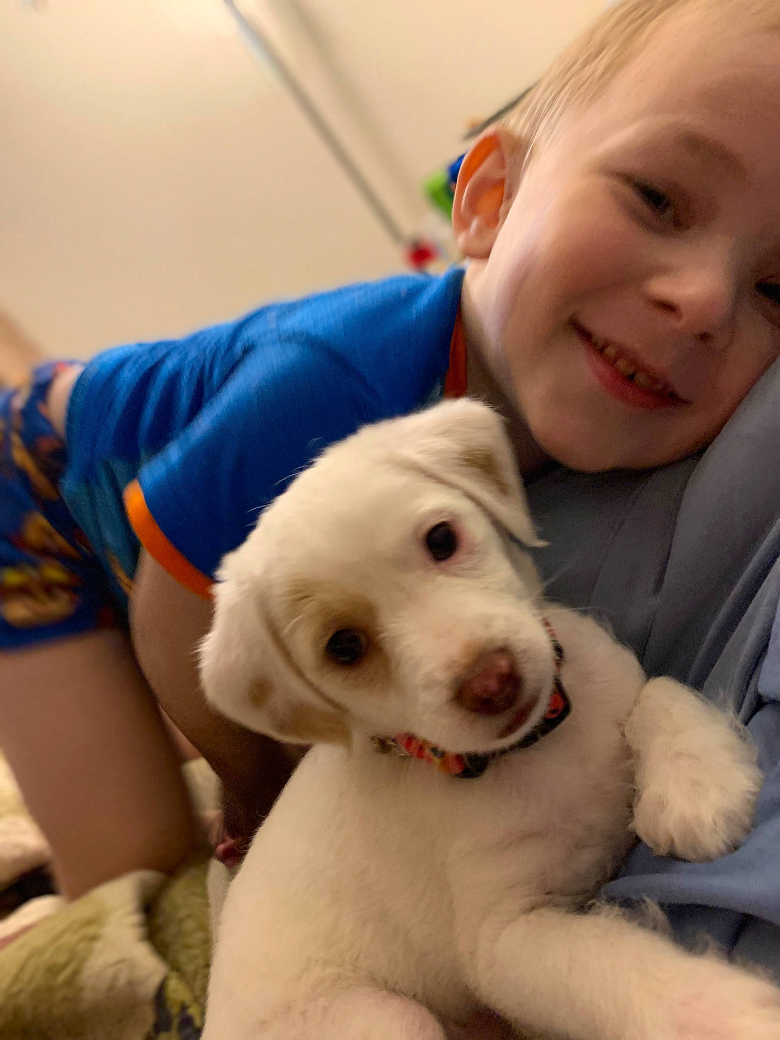 Shane joined the competition — help win amazing prizes! canidae, carnivore, child, comfort, companion_dog, dog, dog_breed, ear, fawn, fun, fur, happy, joy, nose, person, retriever, selfie, skin, smile, snout