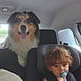 Snow participe au concours pour gagner de l'argent avec cette photo : dog, toddler, car_seat, pacifier, stuffed_toy, car_interior, child, animal, pet, happy, seatbelt, window, hair, fur, headrest, smile, transportation, safety, indoors, portrait