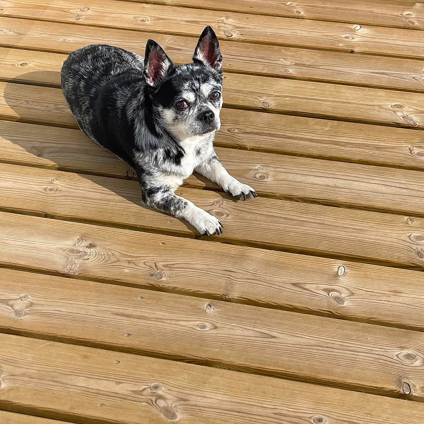 Tyson
