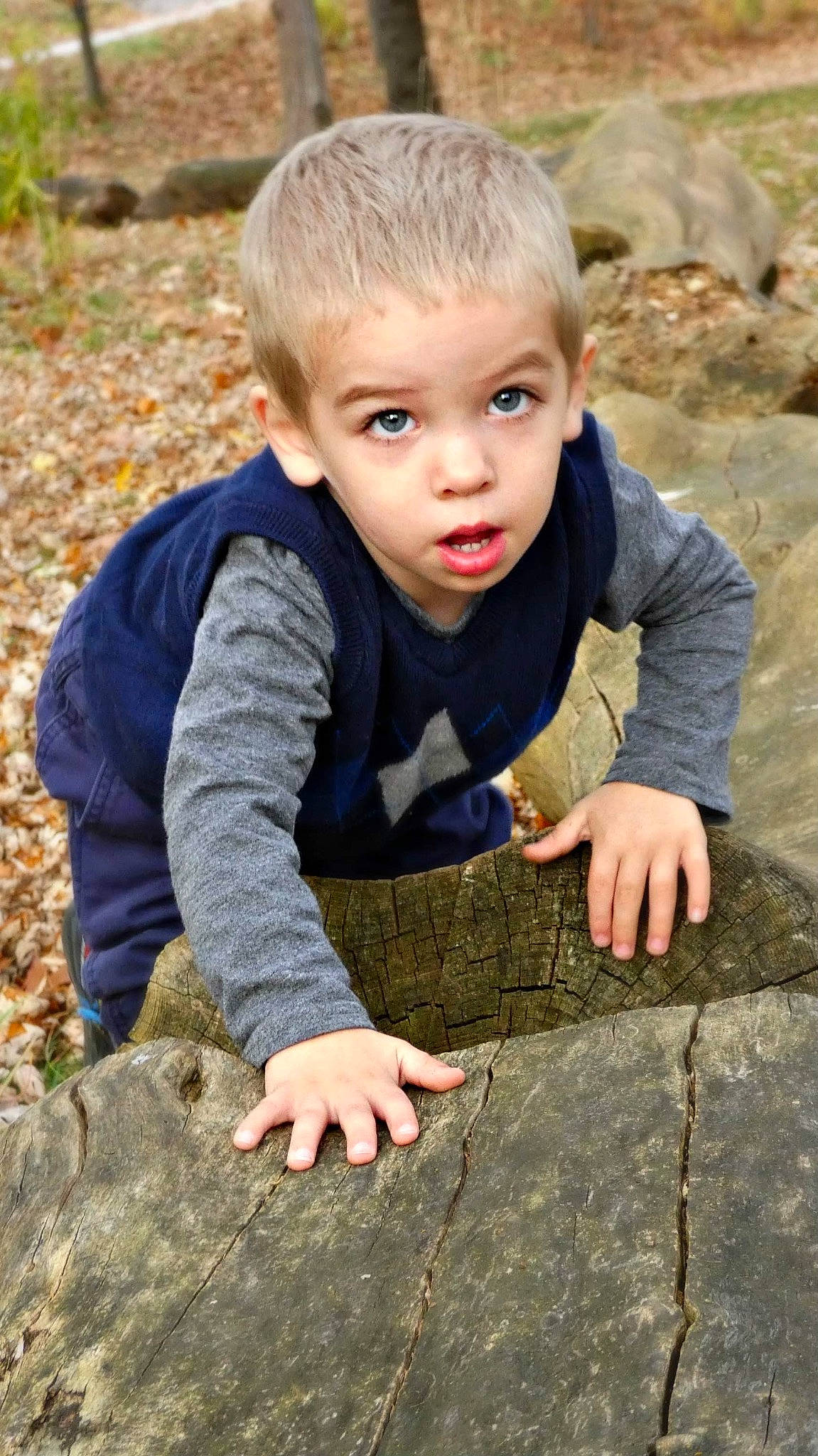 Dawson is registered to the contest to win money with this photo: eye, face, flash_photography, grass, hair, hand, happy, head, human_body, leaf, leg, leisure, outerwear, people_in_nature, person, photograph, plant, skin, surprise, toddler