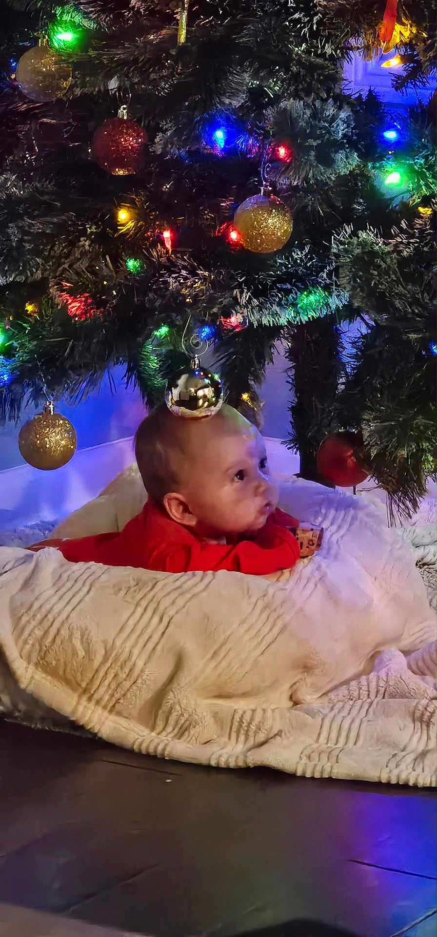Atticus joined the competition — help win amazing prizes! baby, infant, christmas_tree, ornament, lights, blanket, floor, holiday, decorations, curious, indoors, festive, red_clothing, greenery, celebration, cute, child, toddler, face, cozy