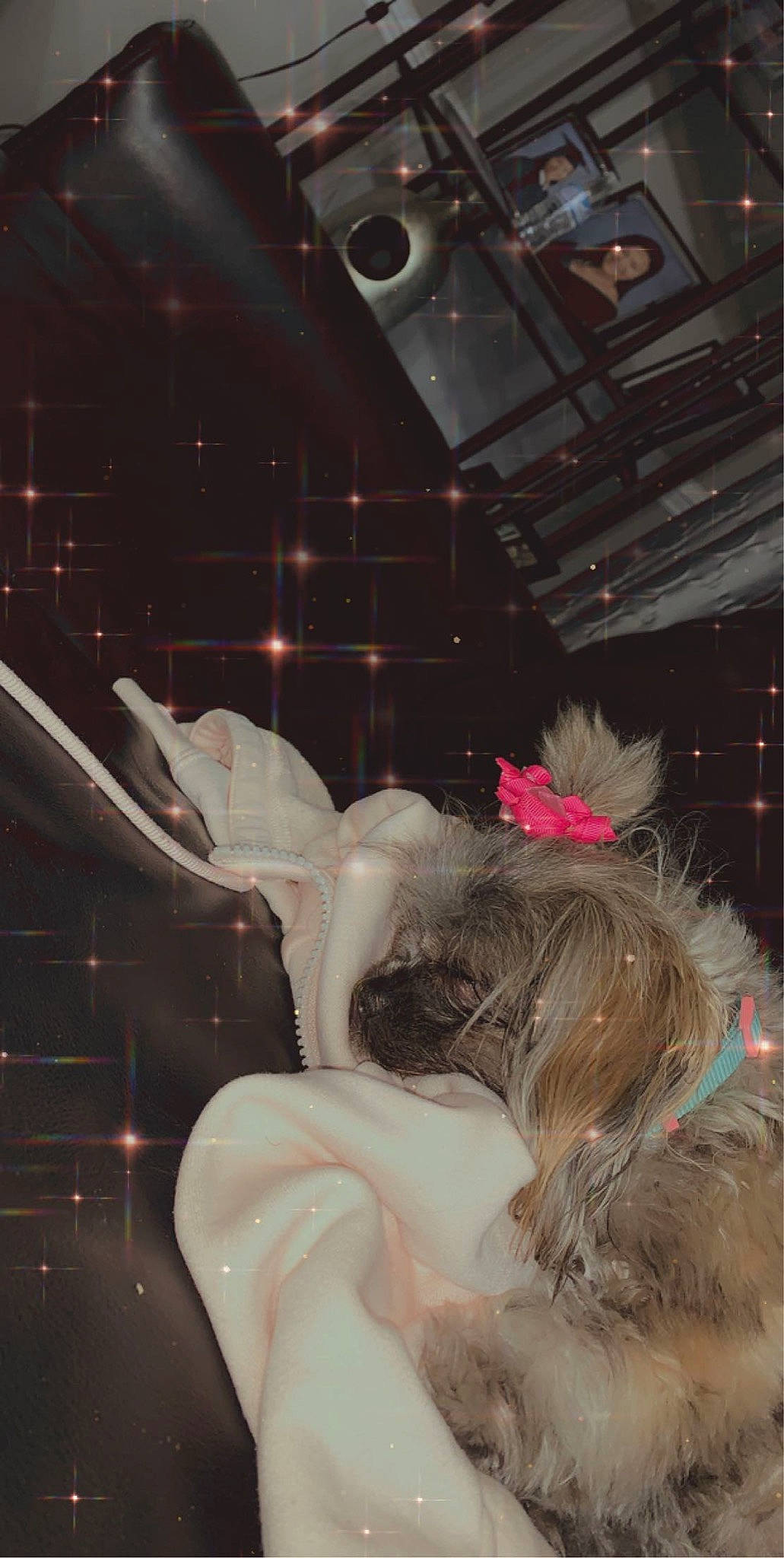 Gigi is registered to the contest to win money with this photo: ear, fawn