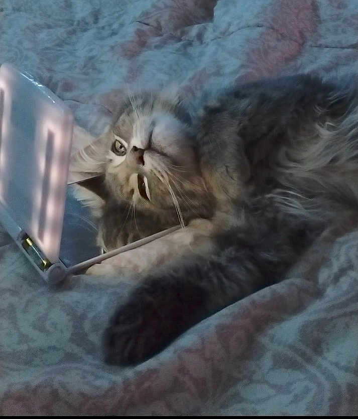 Neo Leonard Slabbert